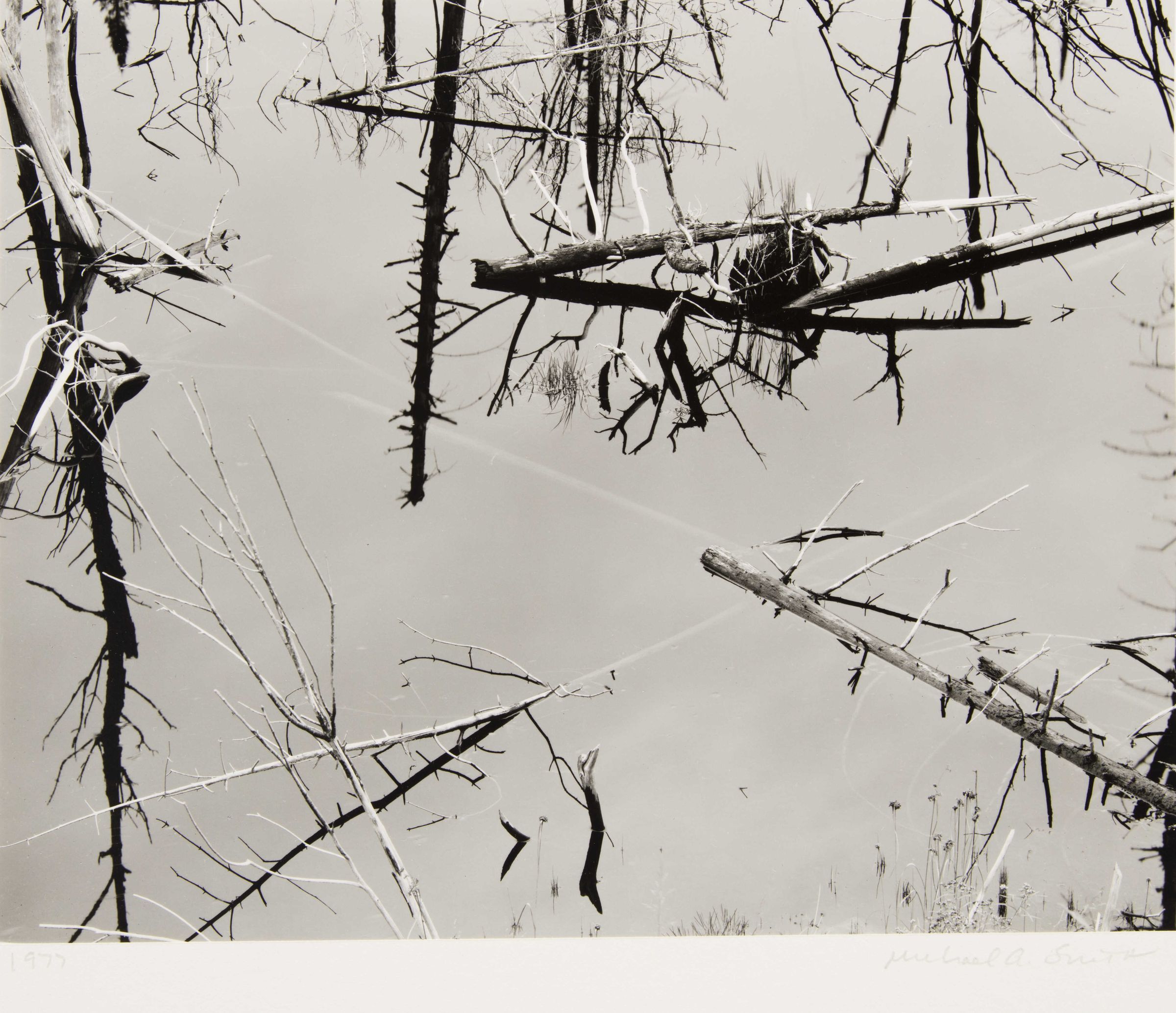 Black and white still photograph near Newcomb, New York. Landscape is of a cropped view (angled slightly from above) of a brush filled pond or mash. The water is very placid with intermittent, floating and partially submerged tree trunks and branches. Dark shadow reflections are highly contrasting to the glass-like water and the white bark of the dead wood.