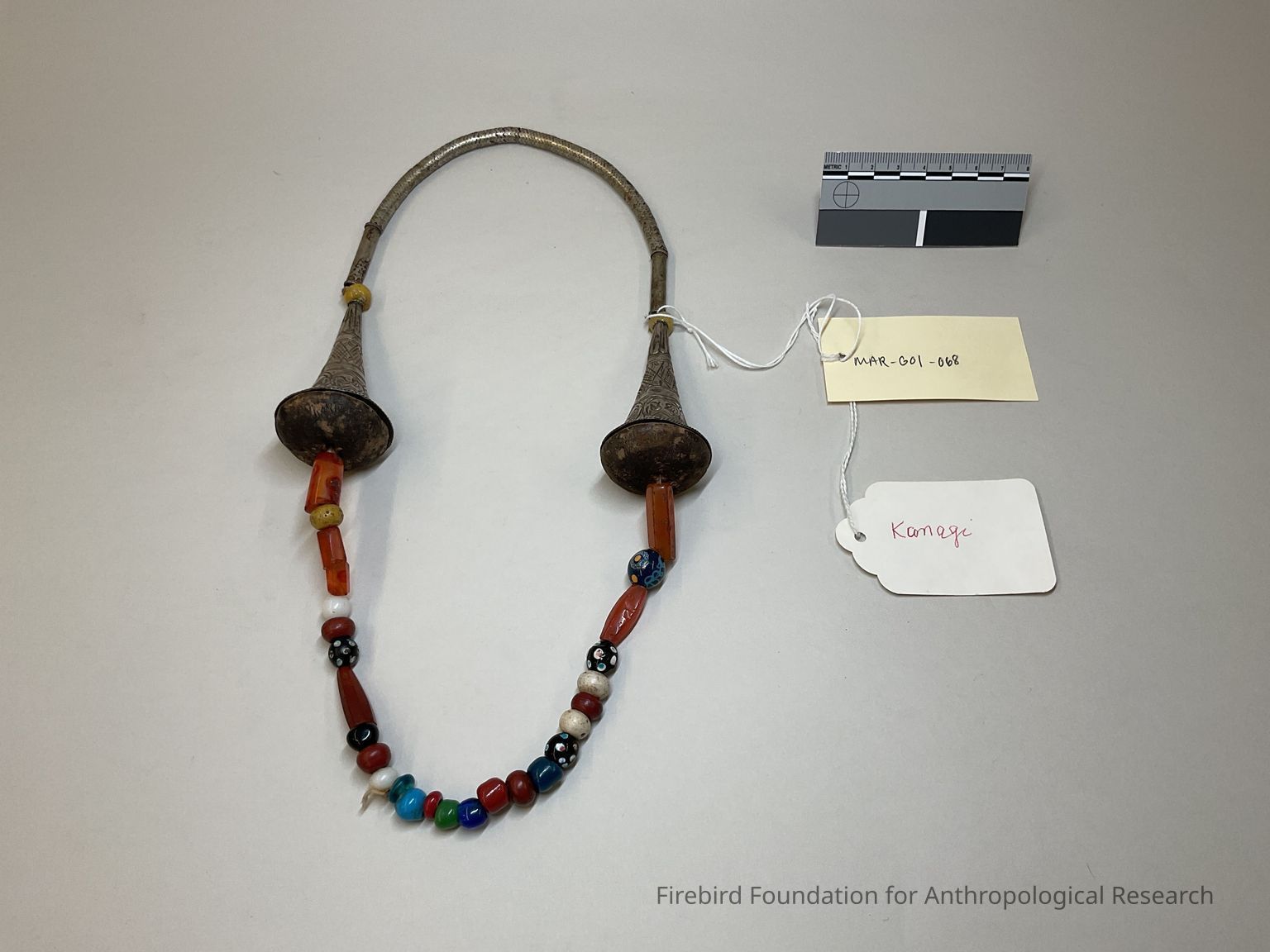 Sampling of Bornean Collection