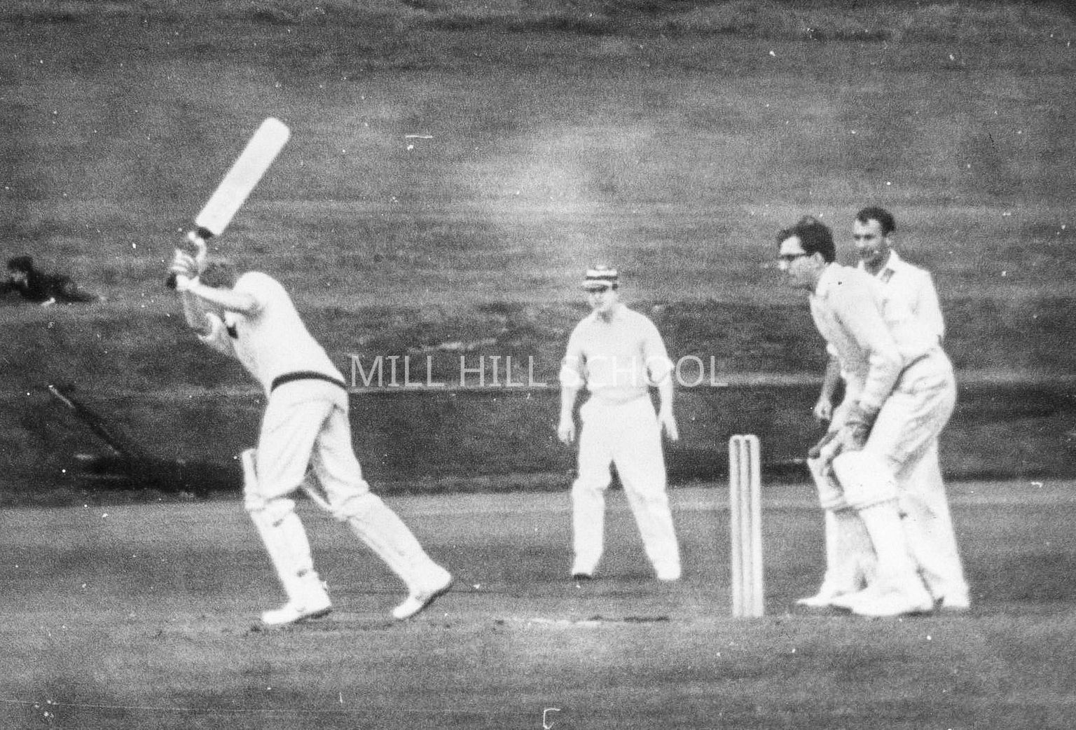 Cricket