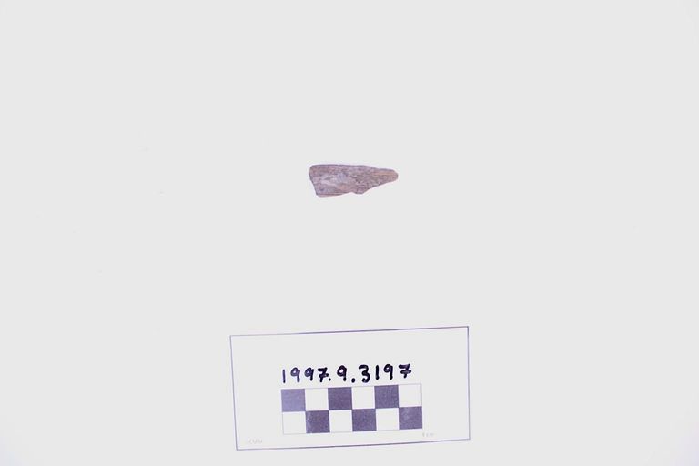 Fragment, Wood