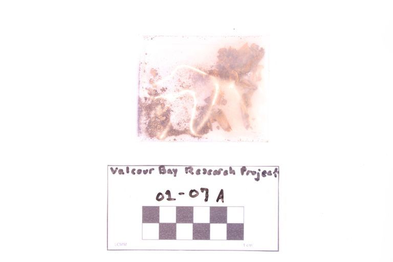 Fragment, Shavings - Image 2