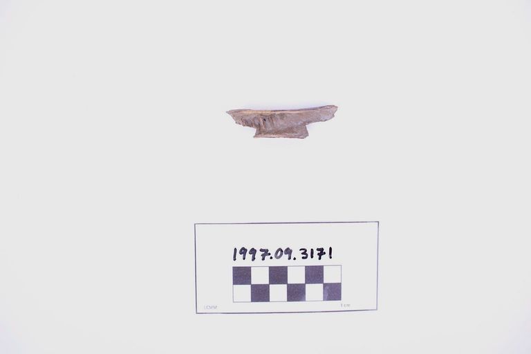 Fragment, Bone