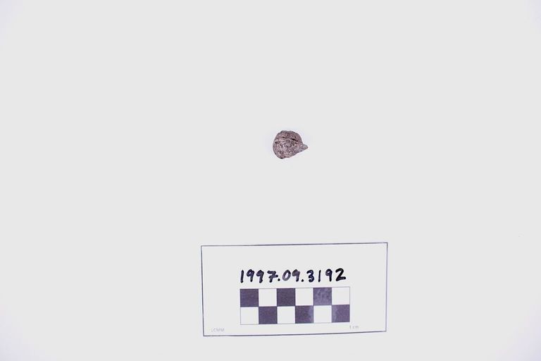 Fragment, Wood