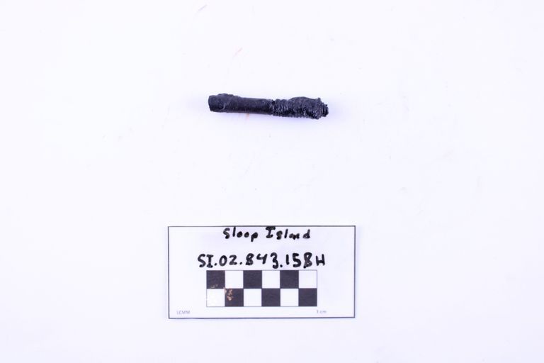 Carriage Bolt