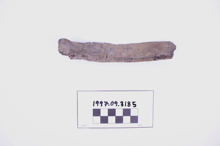 Fragment, Wood