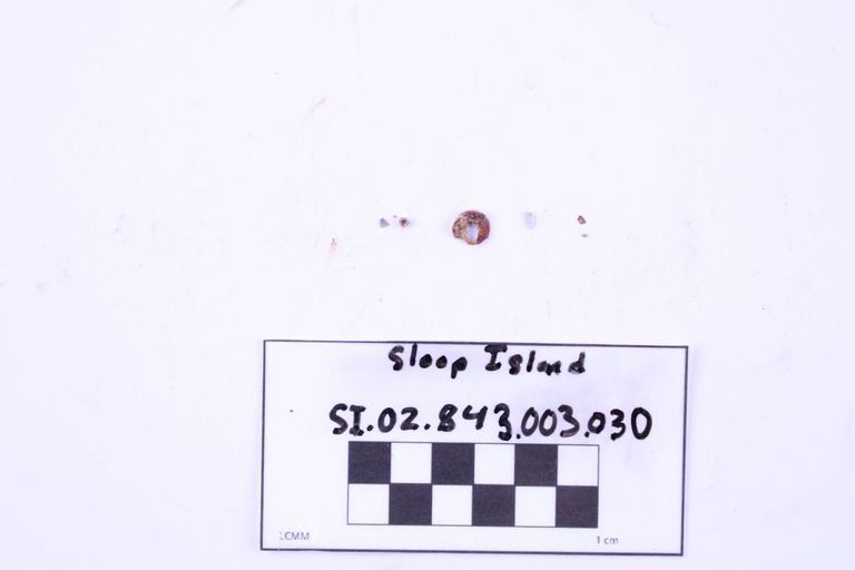Button - Image 2