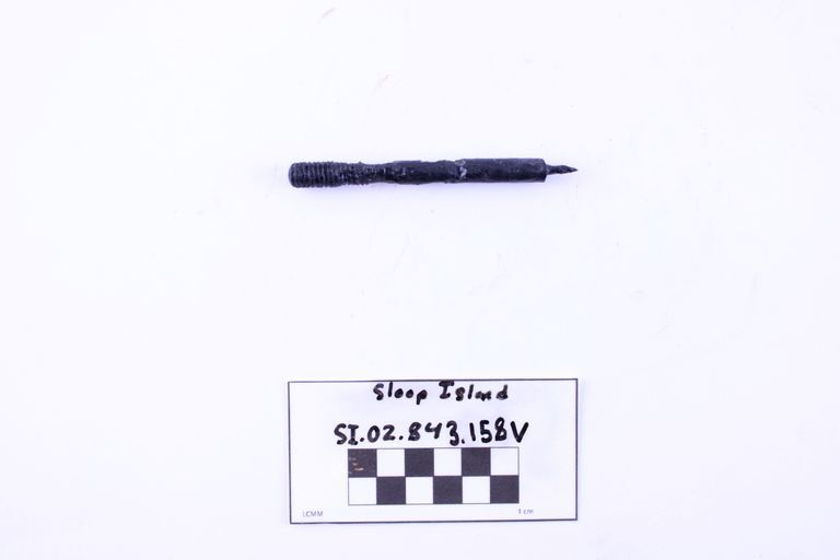 Carriage Bolt