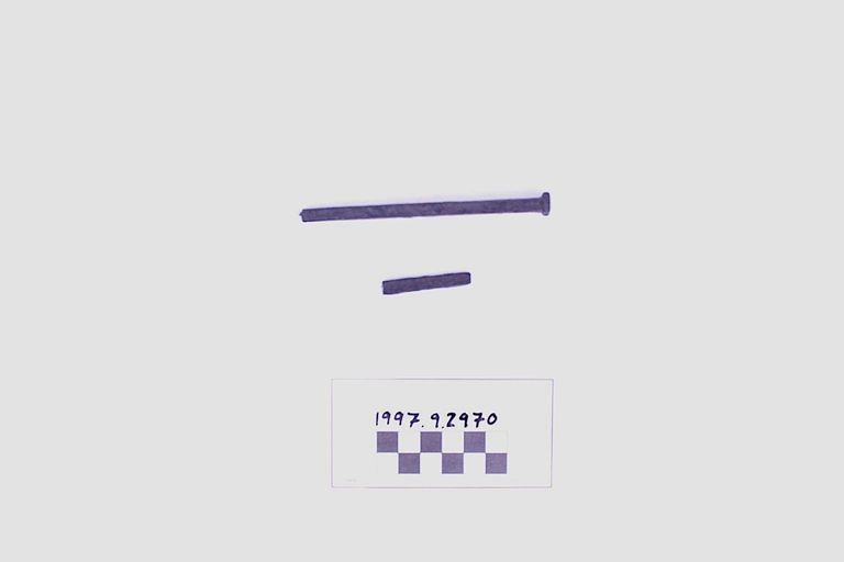 Nail