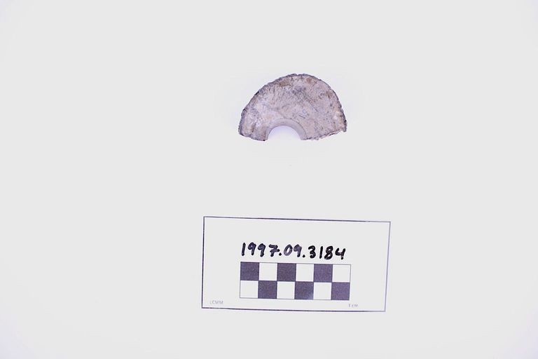 Fragment, Wooden Rigging Block Sheave