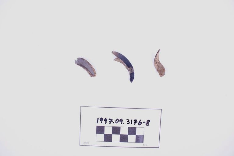 Bird Talons, Lot of 3