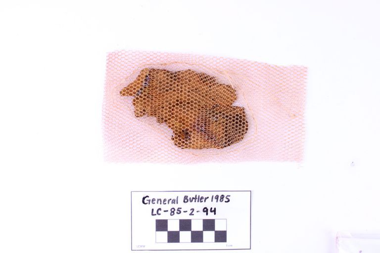 Fragment, Textile