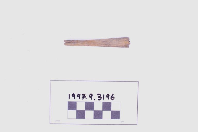 Fragment, Wood