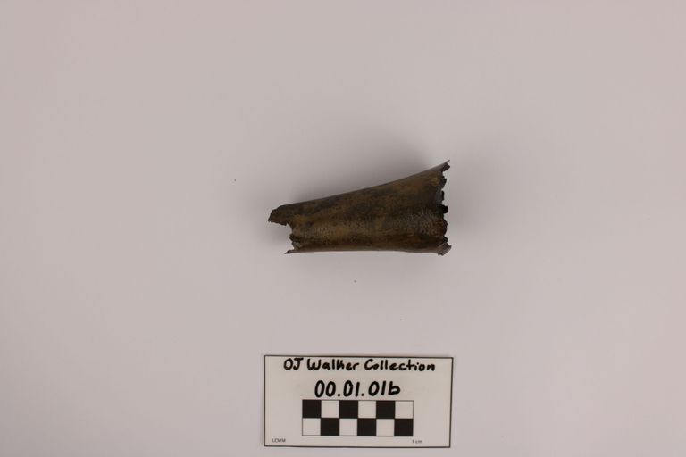 Cornet - Image 3