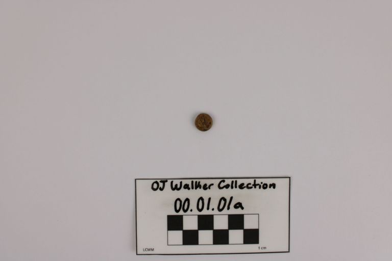 Cornet - Image 4