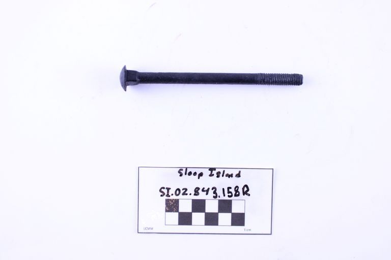 Carriage Bolt