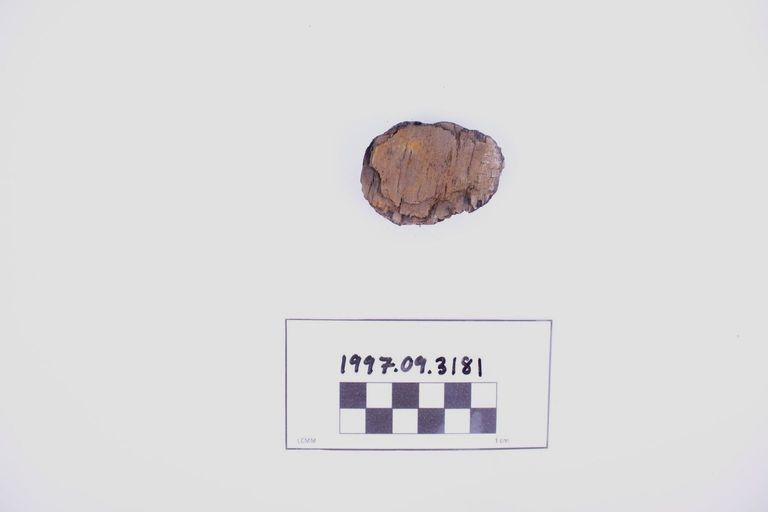 Fragment, Wood
