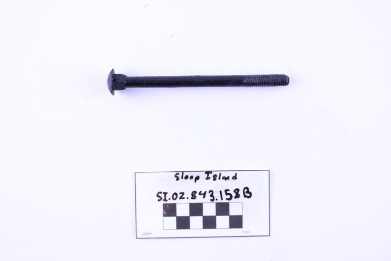 Carriage Bolt
