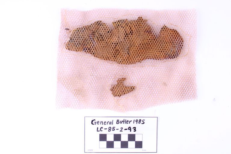 Fragment, Textile
