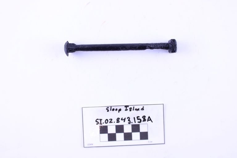 Carriage Bolt