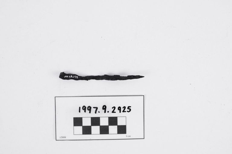 Nail