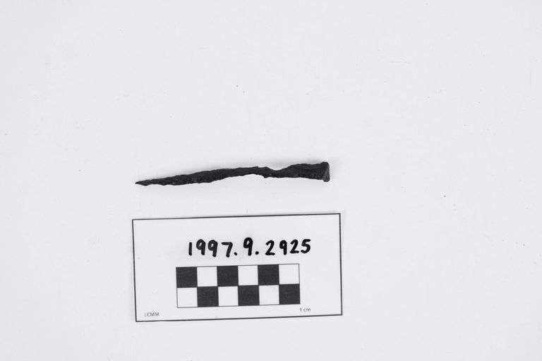 Nail - Image 2