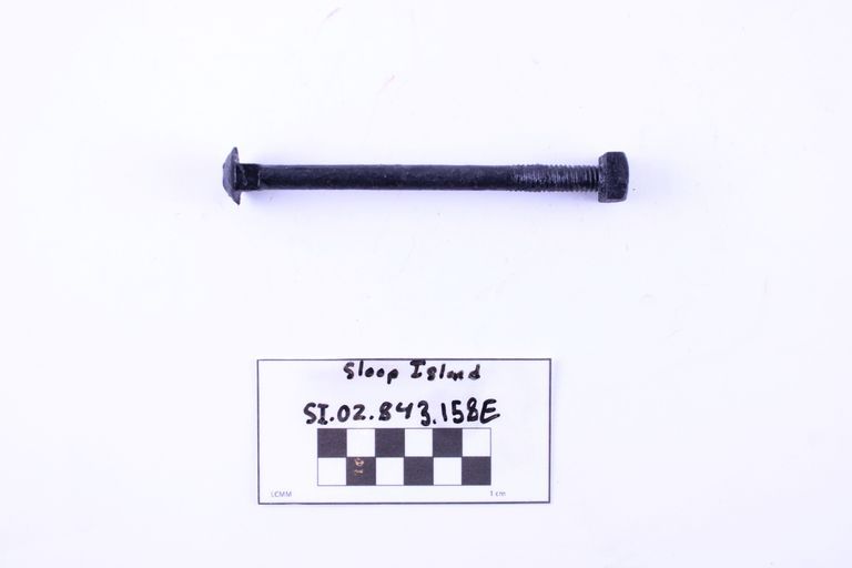 Carriage Bolt