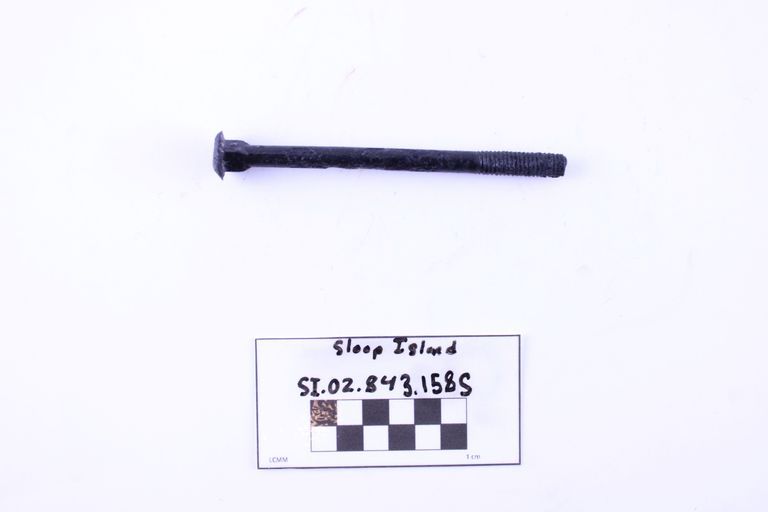 Carriage Bolt
