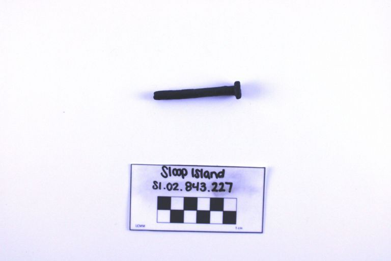 Door Hinge Pin