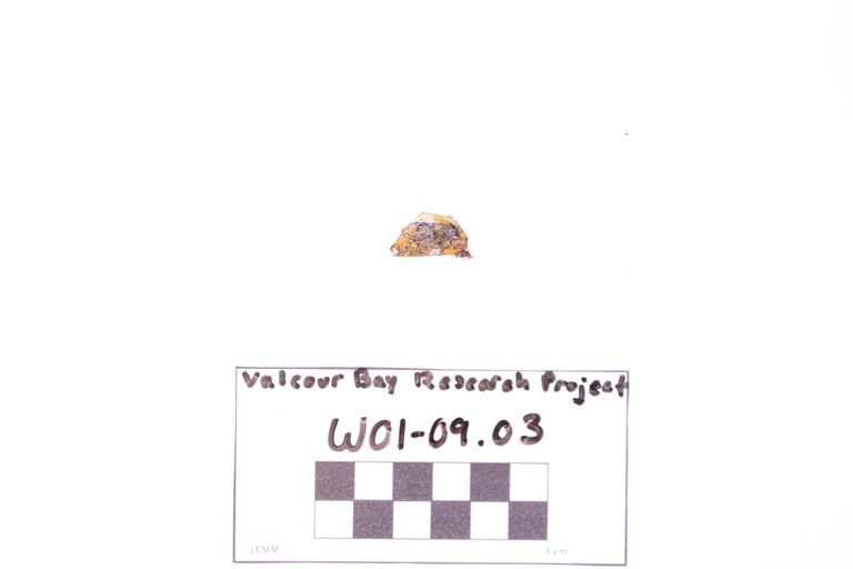 Fragment, Fuse