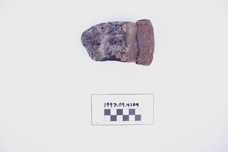 Fragment, Bottle Cork