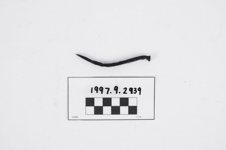 Nail - Image 2