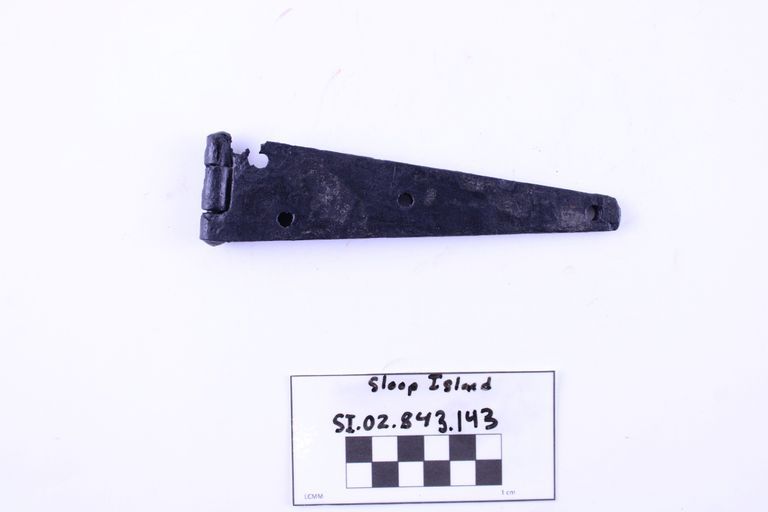 Door Hinge