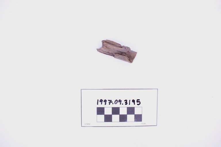 Fragment, Wood