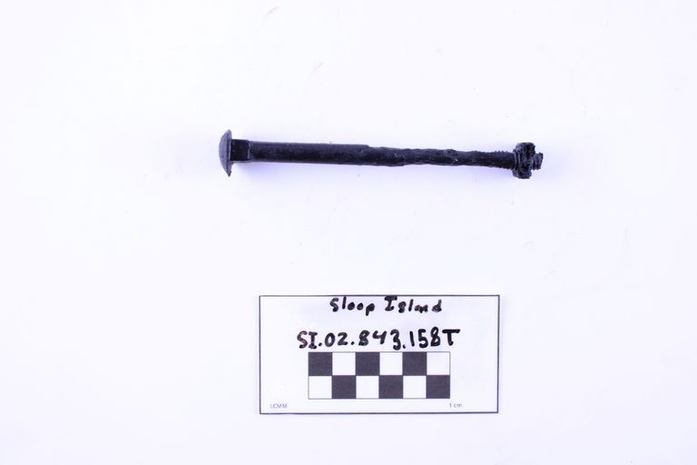 Carriage Bolt