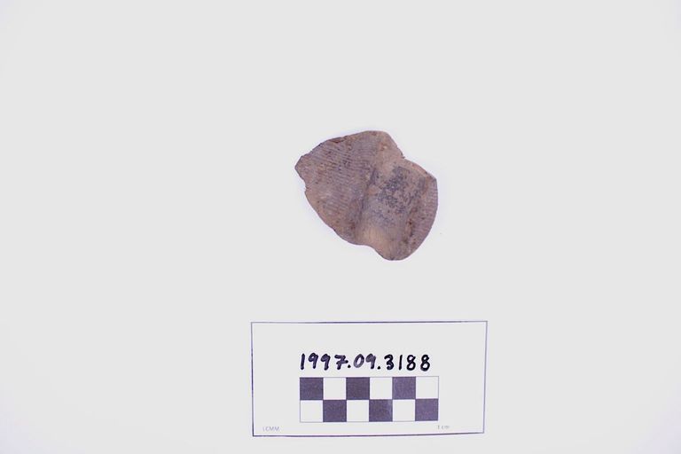 Fragment, Wood