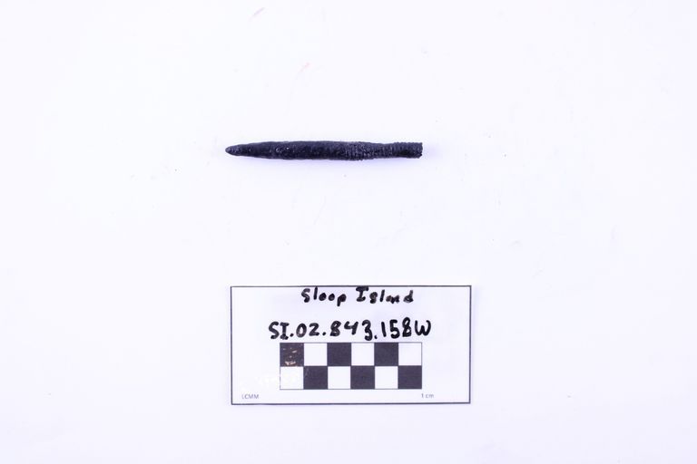 Carriage Bolt