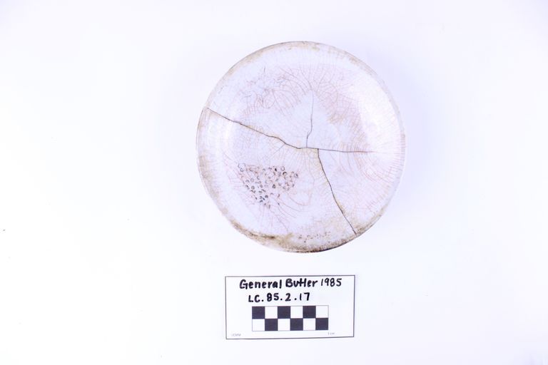 Plate