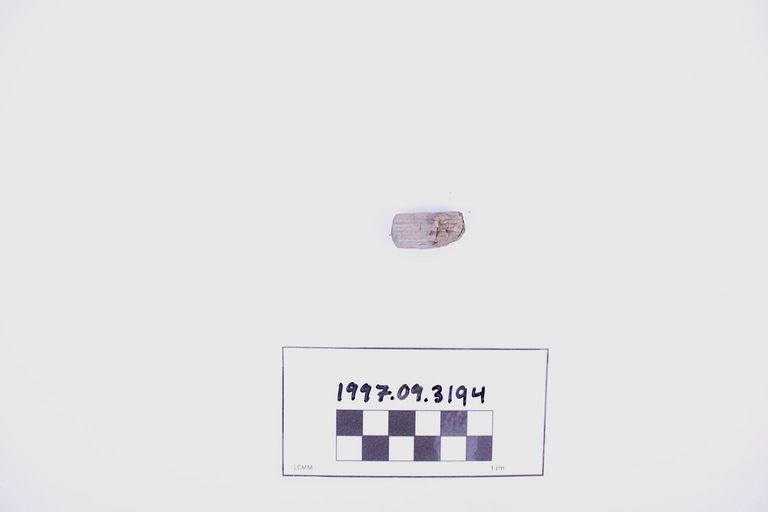 Fragment, Wood