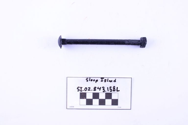 Carriage Bolt