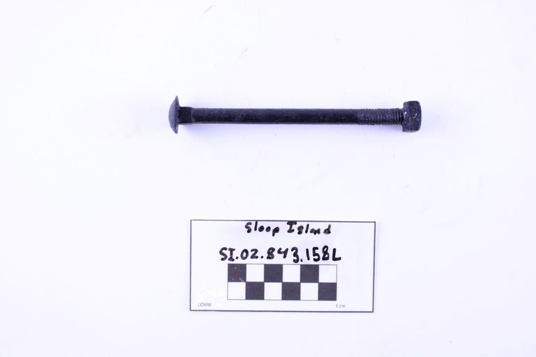 Carriage Bolt - Image 2