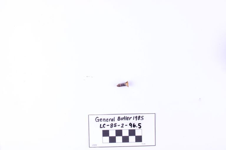 Flathead Screw