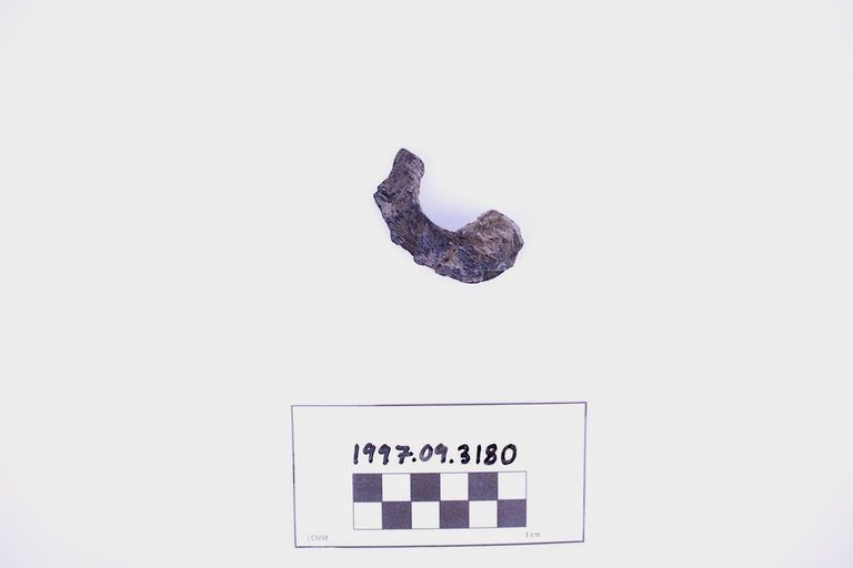 Fragment, Wood