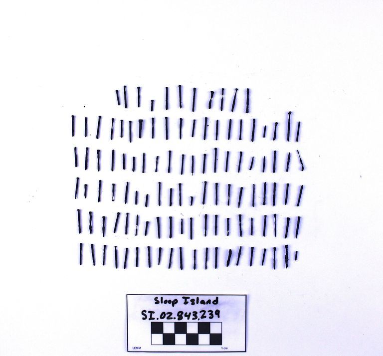Finish Nail, lot of 111