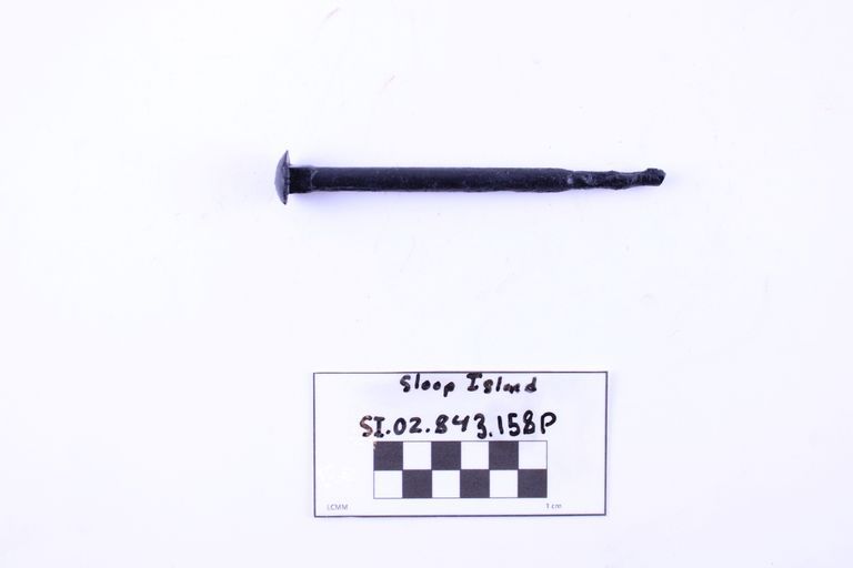 Carriage Bolt