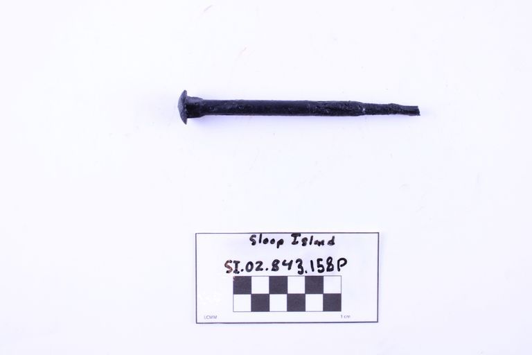 Carriage Bolt - Image 2