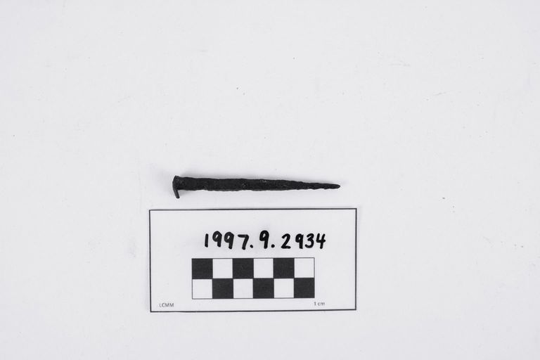 Nail - Image 2