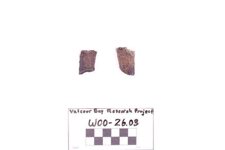 Fragment, Fuse