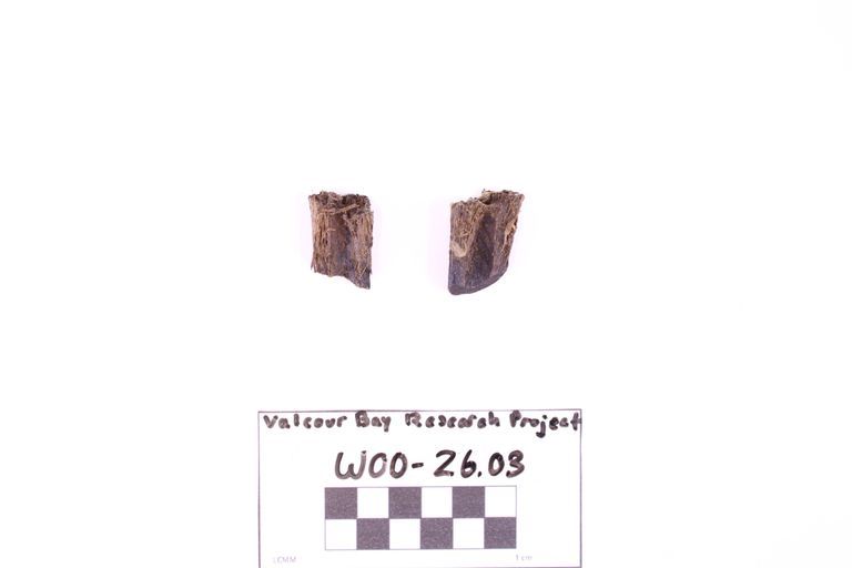 Fragment, Fuse - Image 2