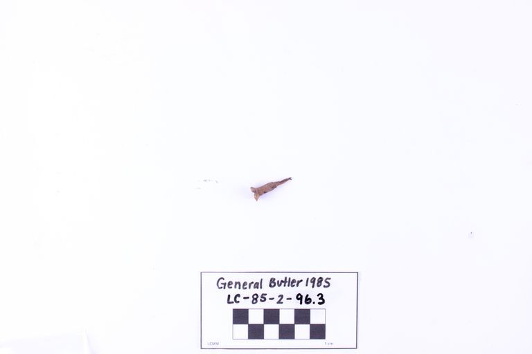 Flathead Screw