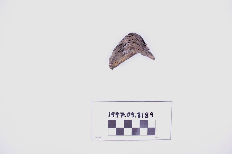 Fragment, Wood
